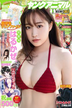 深夜电影在线