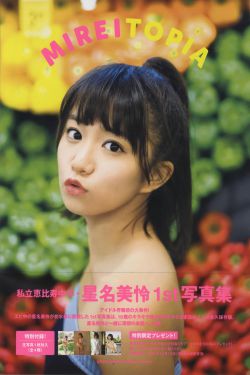 《公安局长张海》