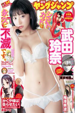 《仙踪林ZYWPJDG视频》