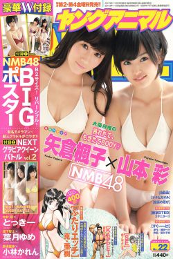 疯狂的导演