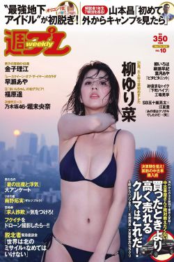 《出嫁前一天的故事》