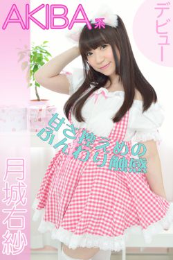 新英雄虎胆