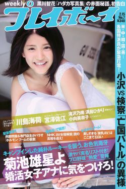 乡村爱情第3部