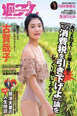 《野鸭子大结局》