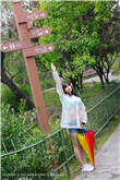美丽小蜜桃韩国