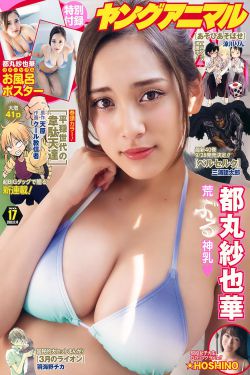 宰相刘罗锅片尾曲