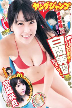 《正阳门下小女人电视剧》