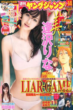 新包青天全集