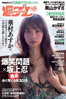 《丽人保镖之IT狂人》