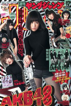 侠岚5