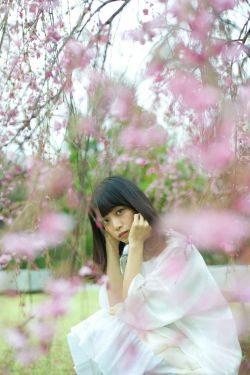 新金瓶龚玥菲完整版