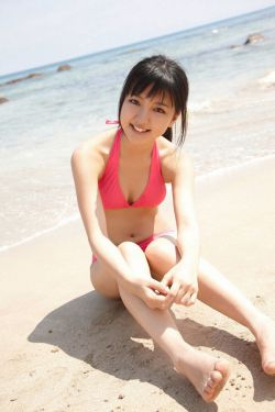 日批软件