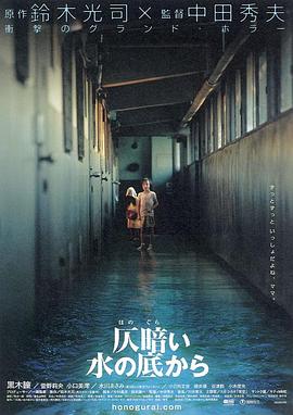女士的法则免费完整版观看