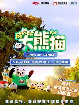 成长吧！大熊猫
